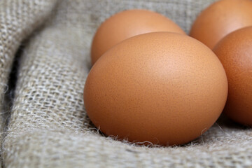 brown chicken eggs on light textile