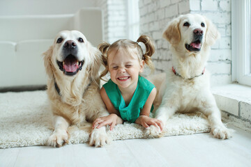 Happy child with a dog. Portrait of a girl with a pet. Labrador Retriever at home. . High quality photo.