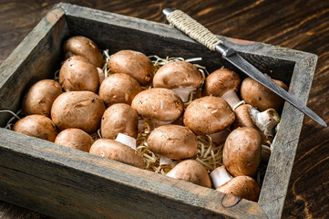 Raw Fresh champignon mushrooms in a wooden box. Dark background. Top view