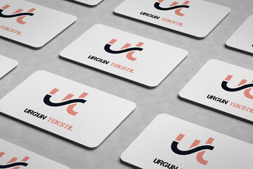 Mock up Design logo, business card