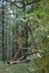 Devil's catchers nets on a tree