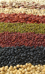 Different beans as background. Legume assortment.