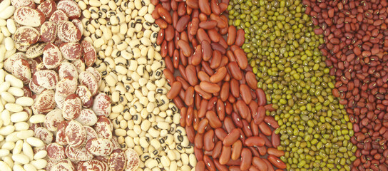 Assortment of different beans as background.