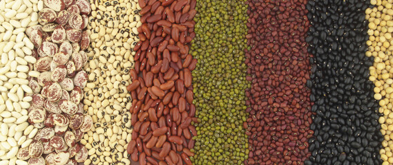 Assortment of many kinds of beans as background.