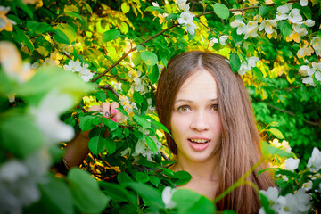 Outdoor portrait of a beautiful young girl near blossom apple trees with white flowers.