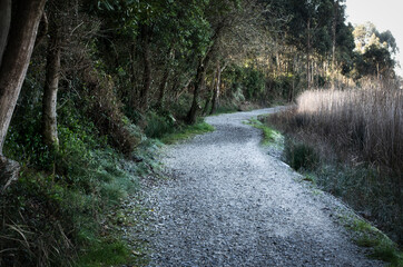Passadiços de Esgueira