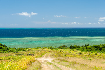 Road leading to see the beautiful gradient coral sea of ​​Okinawa. Iriomote Island.