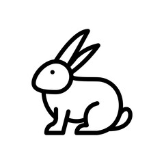 rabbit