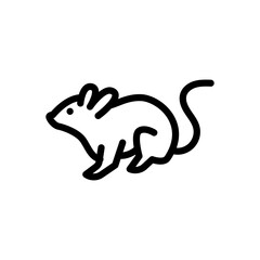 rat