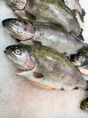 Fresh fish on the market. Overhead view of seafood in the ice