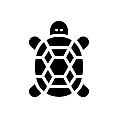 Obraz premium turtle