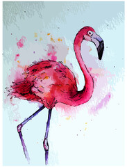 Pink Flamingo painted sketch in watercolor in vector