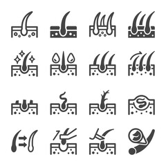 hair icon set,vector and illustration