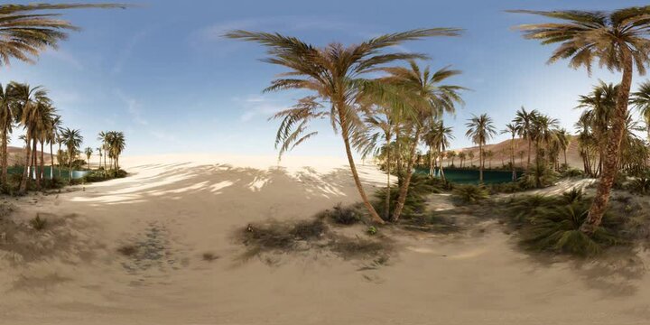 VR360 view of palm oasis in desert