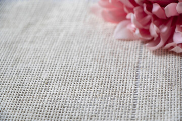 Sackcloth texture or background fading into blurred edges. Pink dahlia flower in a corner