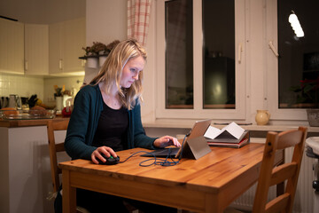 Fototapeta na wymiar Junge Frau arbeitet abends zuhause im Homeoffice am Laptop