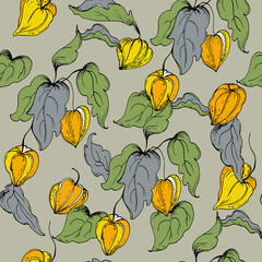 Seamless pattern with leaves and flowers physalis.Vector illustration