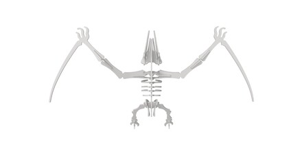 3D rendering of a flying dinosaur iconic abstract shape laser cut