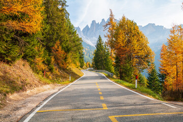 Cozy winding autumn road near the village of Santa Maddalena in autumn colors, Province of Trentino Alto Adige, Val di Funes Valley, South Tyrol