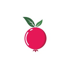 pomegranate icon vector illustration design