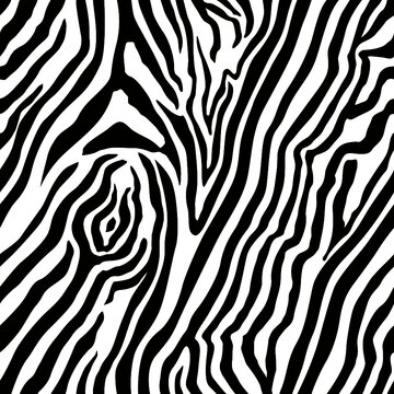 Zebra repeat pattern