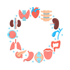 Medical science poster with human organs icons in flat style