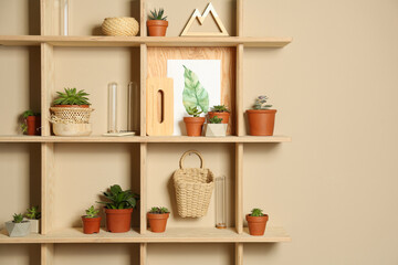 Wooden shelves with different decorative elements on beige wall