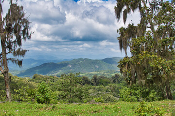Fototapeta na wymiar Nature and landscape of national park Miraflor in Nicaragua, Latin America.