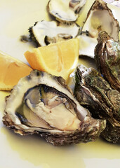 Open fresh oyster with lemon. Vertical photo