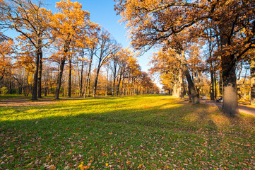 View of city park in autumn