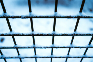 Swallow depth of field, snow on wire netting. Background is snow.