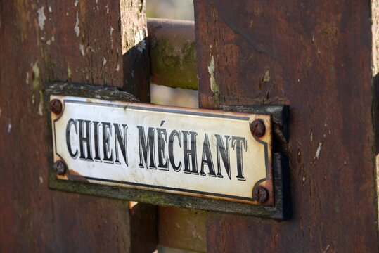 Autocollant "Attention Chien Méchant" - 70 X 20 Cm - Intérieur/Extérieur - Sticker Pour Porte, Portail, Fenêtre - Neuf
