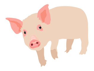 Cute pink piglet character .Vector illustration isolated on white background stock illustration