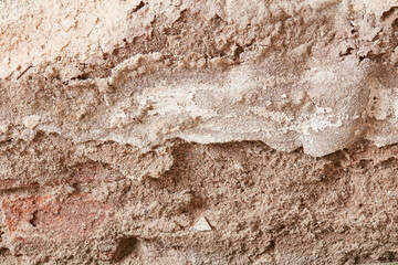 plaster damaged by rising damp