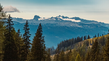 Beautiful alpine summer view with a far view of the Dachstein summit at the famous Tauplitzalm, Salzkammergut, Steiermark, Austria