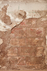 plaster damaged by rising damp