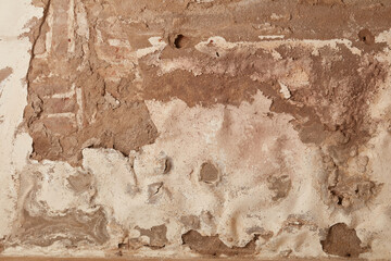 plaster damaged by rising damp