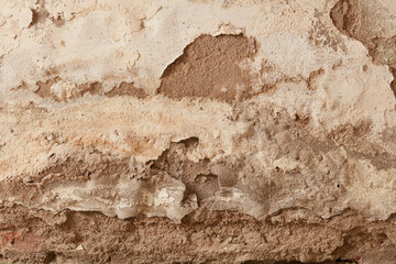 plaster damaged by rising damp
