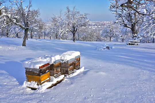 Bienenst&ouml;cke in Winterruhe