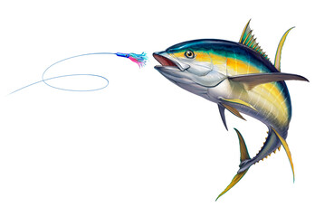 Yellow tuna black fin attacks Bait Sea Swim Squids. Realistic illustration of Yellow tuna white background isolate.
