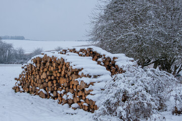 Ein zugeschneiter Haufen mit aufgestapeltem Brennholz / Meterholz im Winter (Holzwirtschaft)