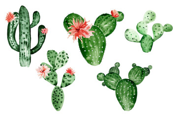 Watercolor cactus clipart, blooming cactus, tropical decoration for birthday, tropical wedding, beach party, poster