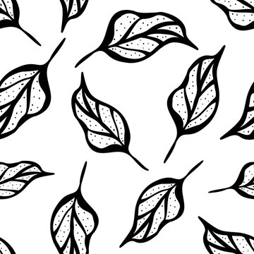 Inky black and white leaf seamless vector pattern background. Botanical vintage illustration style hand drawn line art falling leaves. Monochrome backdrop.Tossed multidirection design for packaging