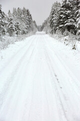 Obraz premium Snow covered Forest Road in Sweden