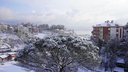 Snowy winter day in Tarabya İstanbul