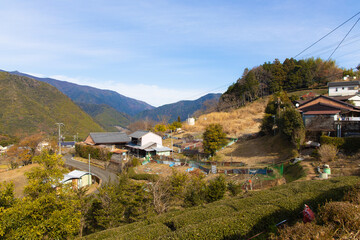 Fototapeta premium 田舎の風景