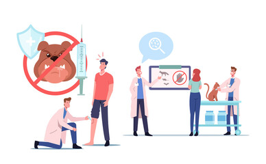 Rabies Disease Concept. Injured Patient with Dog Bite Visiting Hospital. Medics Inject Vaccine or Presenting Information
