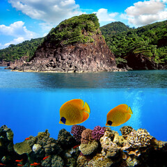 Fototapete bei efototapeten.de bestellen   