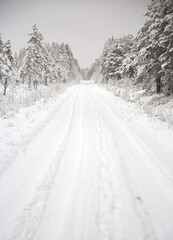 Obraz premium Snow covered Forest Road in Sweden