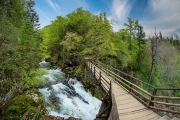 Foto op Canvas Wooden bridge above Radovna river in the end of Vintgar gorge and Sum waterfall, Slovenia © haidamac